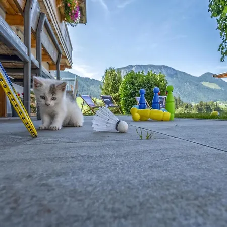 Διαμέρισμα Kraftplatz Am Litzlhof Large